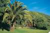 Marbella Corfu 